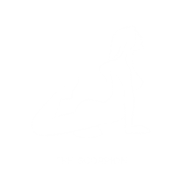 The Scorpion