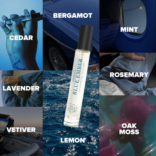 Load image 1 in gallery view. Bloom Blue Ember Pheromone Cologne