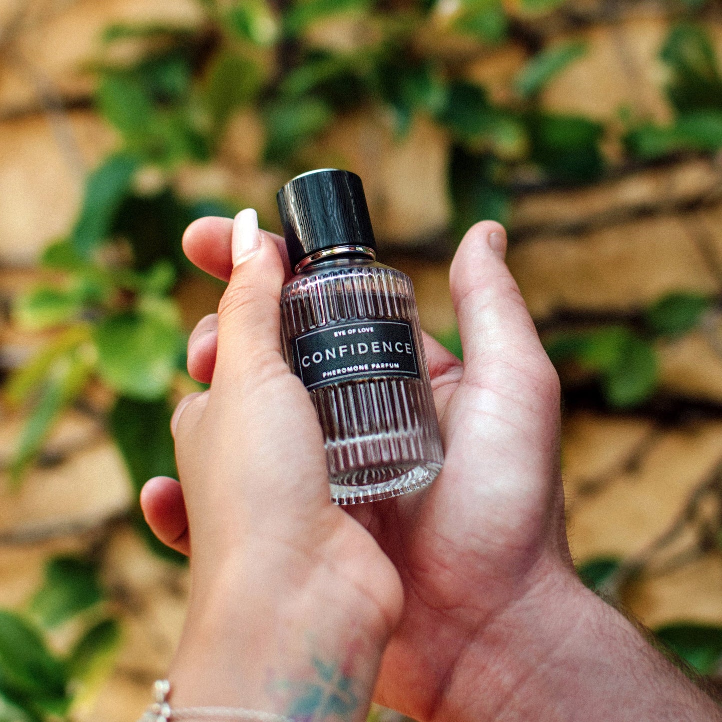 Confidence Pheromone Bundle