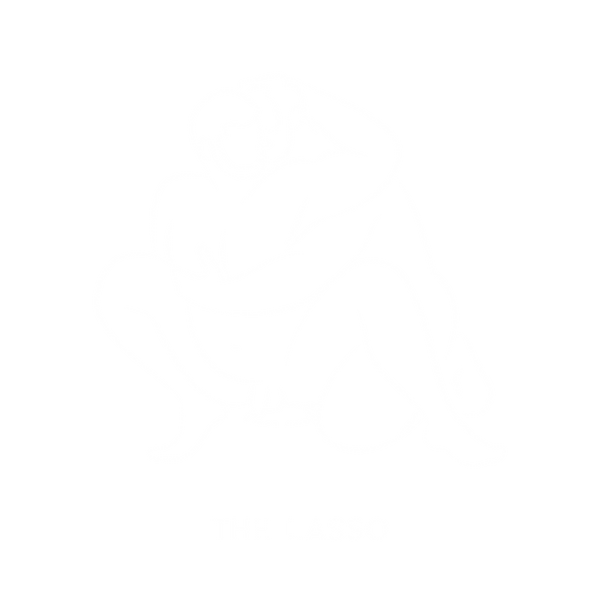The Lasso: with a partner