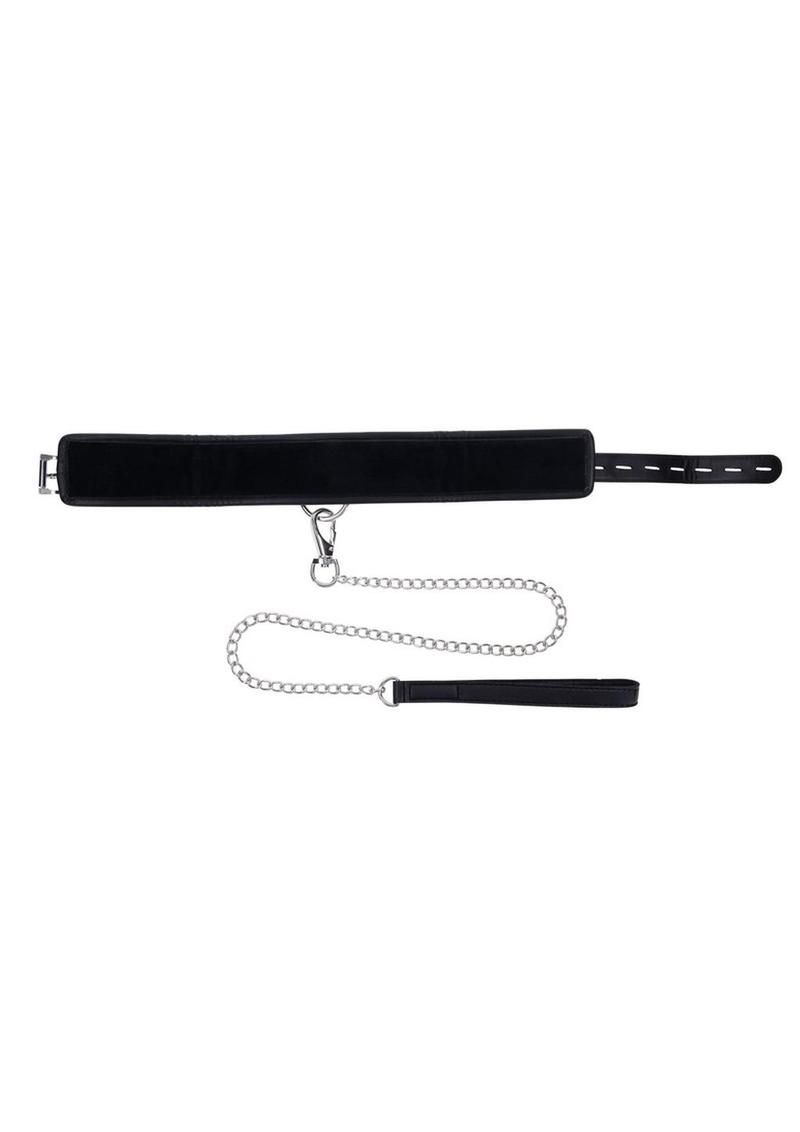 Edge Collar and Leash Edge
