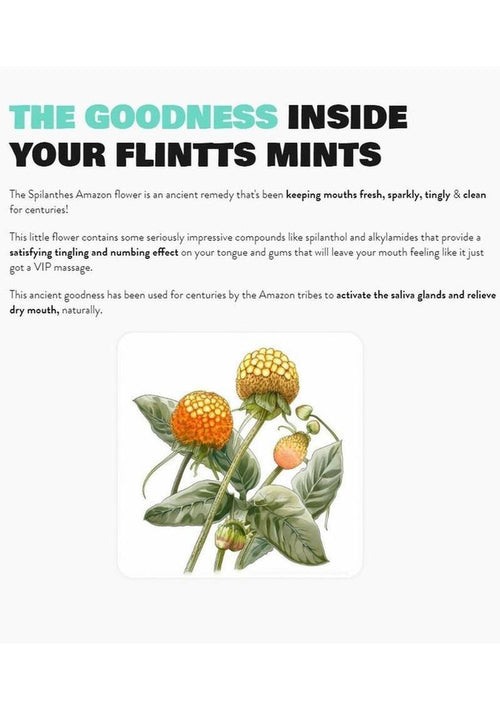 Load image 1 in gallery view. Flintts Mints Mouth Watering Oral Delights Flintts Mints
