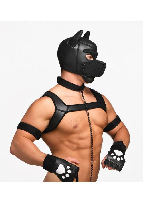 Load image 1 in gallery view. Master Series Deluxe Pup Arsenal Master Series