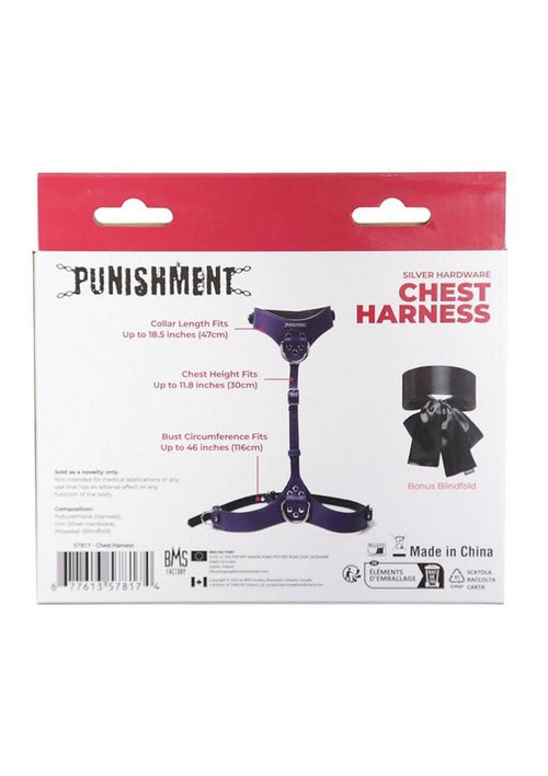 Load image 1 in gallery view. Punishment Body Harness Punishment