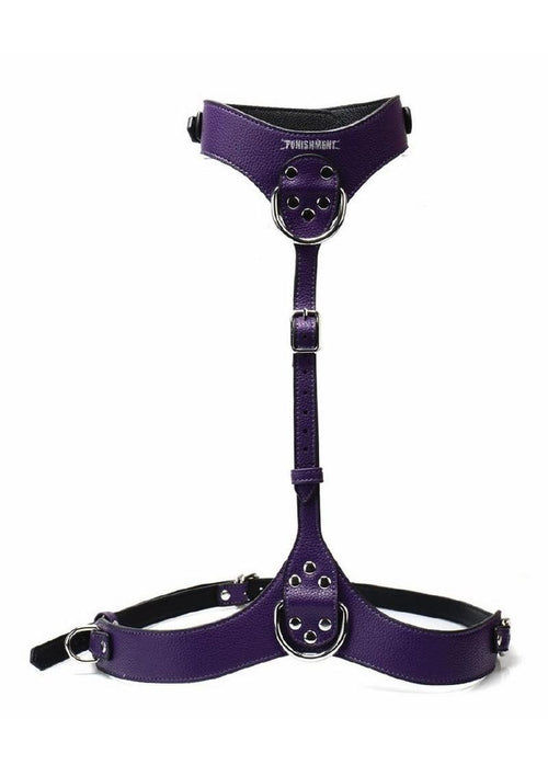 Load image 1 in gallery view. Punishment Body Harness - Silver