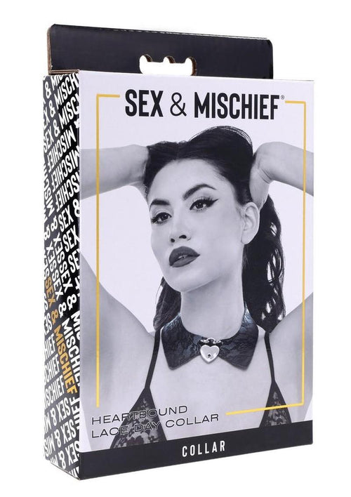 Load image 1 in gallery view. Sex and Mischief Heartbound Lace Day Collar - Black/Silver