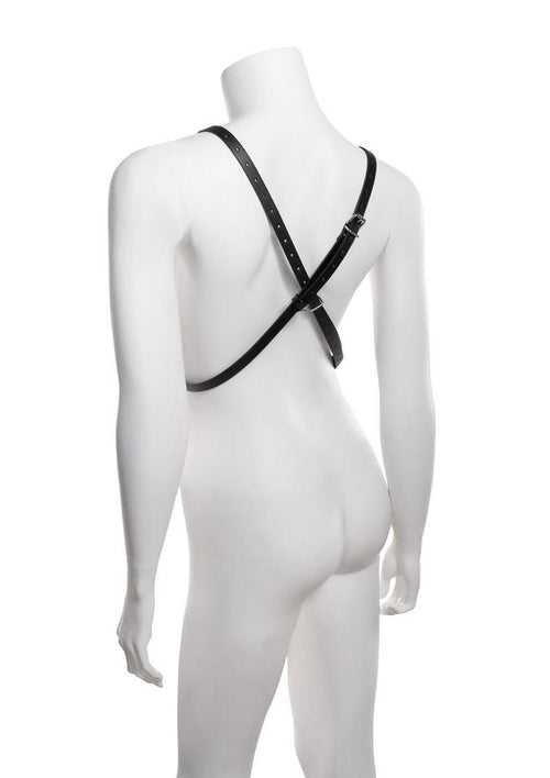 Load image 1 in gallery view. Sex and Mischief Shadow Body Harness