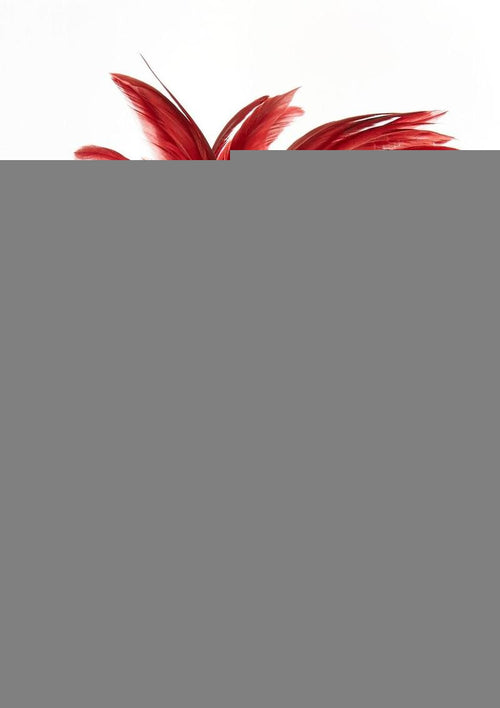 Load image 1 in gallery view. Sportsheets Pleasure Feather - Red
