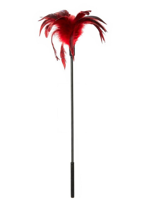 Load image 1 in gallery view. Sportsheets Starburst Feather Tickler - Red