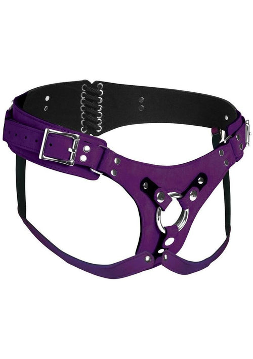 Load image 1 in gallery view. Strap U Bodice Deluxe Leather Corset Harness - Metal/Purple
