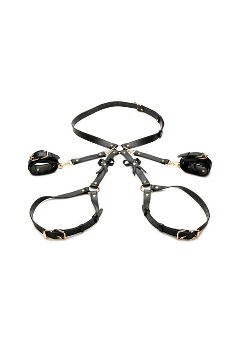 Load image 1 in gallery view. Strict Bondage Harness with Bows - Its Cassidy Bybee