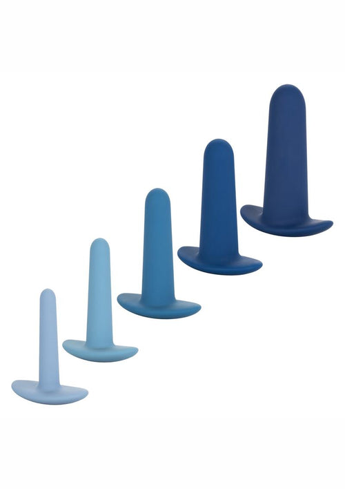 Load image 1 in gallery view. They Ology Wearable Anal Trainer - Blue - 5 Piece Set