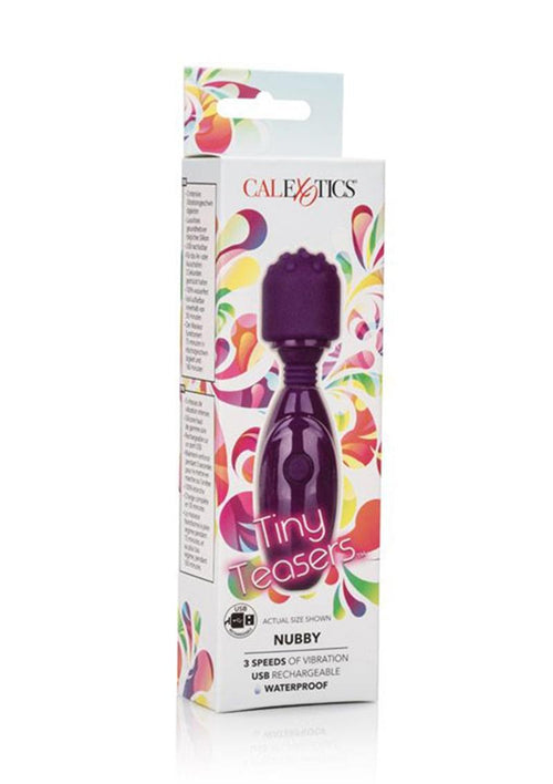Load image 1 in gallery view. Tiny Teasers Nubby USB Rechargeable Mini Vibrator Silicone Textured Head Waterproof - Purple