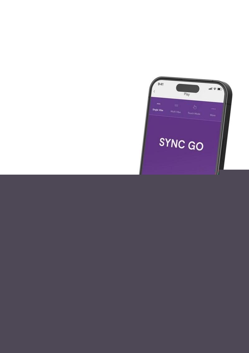 We Vibe Sync Go We-Vibe