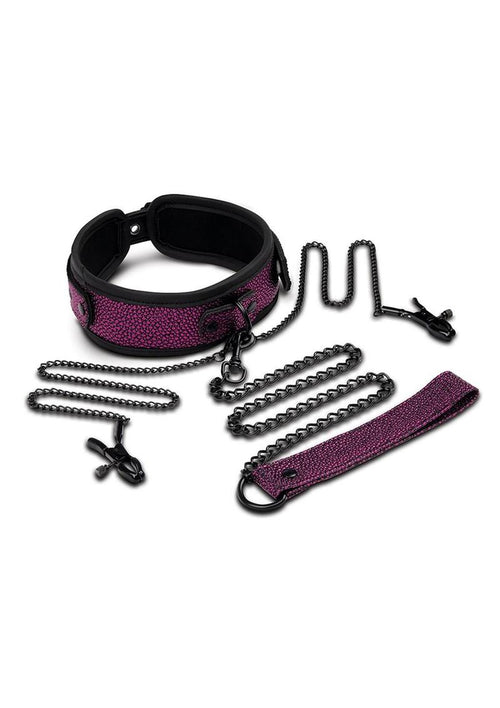 Load image 1 in gallery view. WhipSmart Dragon's Lair Collar, Leash and Nipple Clips - Black/Purple - Set